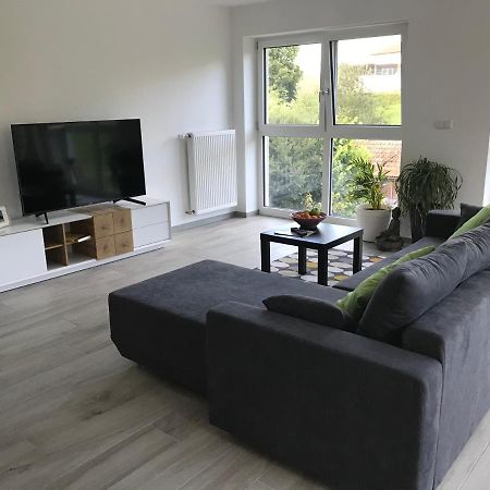 Ferienwohnung „Frosch“ Neukirchen-Balbini Exterior foto